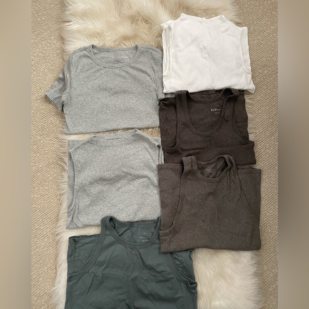 Bundle of 5 Everlane tops, all sized medium valued at $200, asking $60 for all